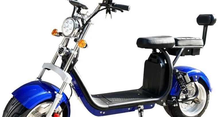 3000 Watts Newest fat Tyre Citycoco Electric Scoot