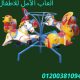 مصنع العاب اطفال فيبر جلاس مصر 01200381094
